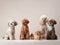 five different poodles on a beige background. curly dog in photo studio