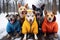 Five dogs of different breeds pose in warm bright jackets in a winter snowy park