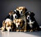 Five Dogs Sitting created with Generative AI