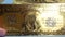 Five Dollar Silver Certificate and 24k Gold Foil Banknote
