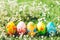 Five Easter eggs on green grass