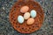 Five eggs in a basket on granite background