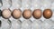 Five eggs with different shades of shell color to create the concept of racial diversity.