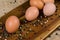 Five eggs with pepper on a wooden board