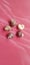 five empty snail shells on red ceramic