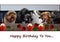 Five  enthusiastically loud singing dogs congratulate on the birthday