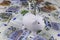 Five euro banknotes in a piggy bank. Close-up money cash background. Concept of finance and growing saving wealth