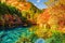 The Five Flower Lake Multicolored Lake among autumn forest