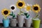 Five flower vase on table, knit white and yellow sunflower from yarn