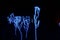 Five foot blue and white lighted tulip sculptures against a black night background