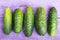 Five fresh cucumbers on the wooden violet background