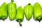 Five fresh green sweet peppers with water drops