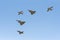 Five generations of SAAB military aircrafts in formation