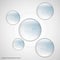 Five glass rings template with blue color