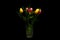 Five glowing tulips on the dark background