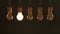 Five Hanging Vintage Incandescent Light Bulbs