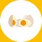 Five hard-boiled eggs vector illustration
