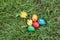 Five Hidden in the grass Easter eggs, which are painted in different colors