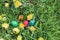 Five Hidden in the grass Easter eggs, which are painted in different colors
