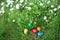Five Hidden in the grass Easter eggs, which are painted in different colors