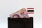 Five hundreds of banknote Thai baht and mini Thailand nation flag stick on the black wallet with white background