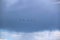 Five jet fighters in the sky against a rain cloud background