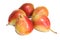 Five juicy fresh red and yellow pears isolated