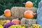 Five Large Orange Halloween Pumkins behind Colorful Mums