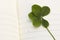 Five Leaf Clover and New Day.