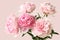 Five light pink peony flowers isolated on pink background.
