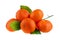 Five mandarins on one branch with green leaves on a white background isolated closeup