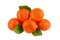 Five mandarins on one branch with green leaves on a white background isolated closeup