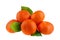 Five mandarins on one branch with green leaves on a white background isolated closeup