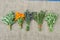 Five medical herbs flowers bunch on linen cloth