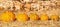 Five mini pumpkins like a family from big to small. Autumn Thanksgiving festivity background.