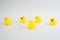 Five mini yellow rubber ducks in a random placed group. Getting