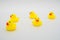 Five mini yellow rubber ducks in a random placed group. One look