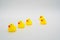 Five mini yellow rubber ducks in a row. One duck out of line. Ge