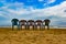 Five multi cloured chair on a sandy beach with blue sky in a sunny day perfect holiday destination