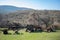 Five old rusty farm trailers sitting in field