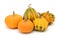 Five orange decorative gourds, with smooth and warted shapes