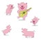 five pig party