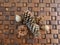 Five pine cones on a patterned wooden base