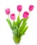 Five pink tulips bouquet