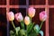 five pink tulips with orange veins against a background of wall tiles of chocolate color.