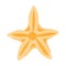 Five-pointed luxurious marine yellow star from the bottom of the ocean or sea. Logo for hotel spa, sea party, beach area, aquarium