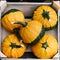 Five Pumpkins, orange and green colored, on a Wood Box, for sale. View from the top. For Halloween and Thanksgiving.