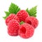Five raspberries with leaves isolated