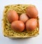 five red chicken eggs inside a basket on white background