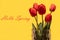 Five red tulips with hello spring letters